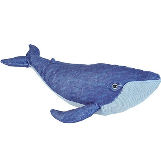 Otto The Blue Whale Plush - Wa Museum Exclusive – Western Australian 