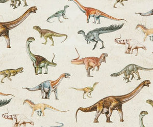 Dinosaurs Of Patagonia