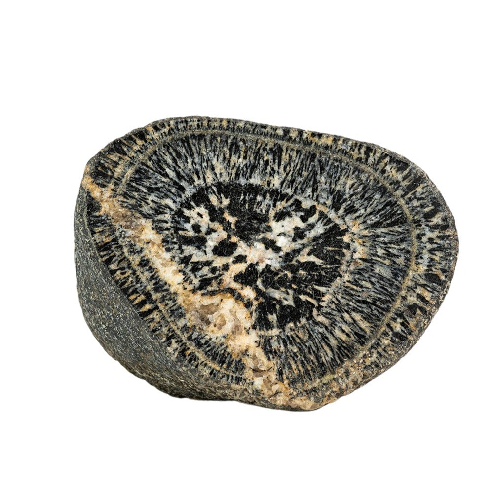 Orbicular Granite Orbicules from Western Australia – Western Australian ...