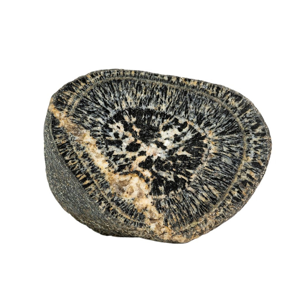 Orbicular Granite Orbicules from Western Australia