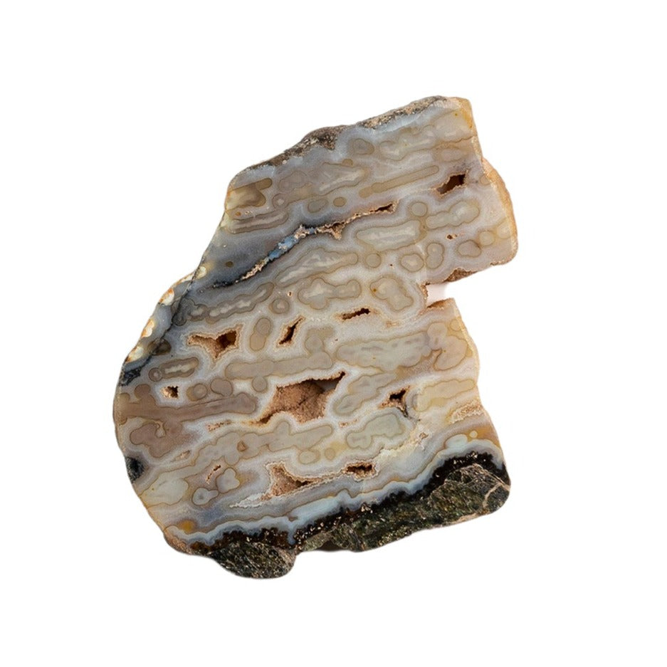 Agate Slice from Lune River Tasmania