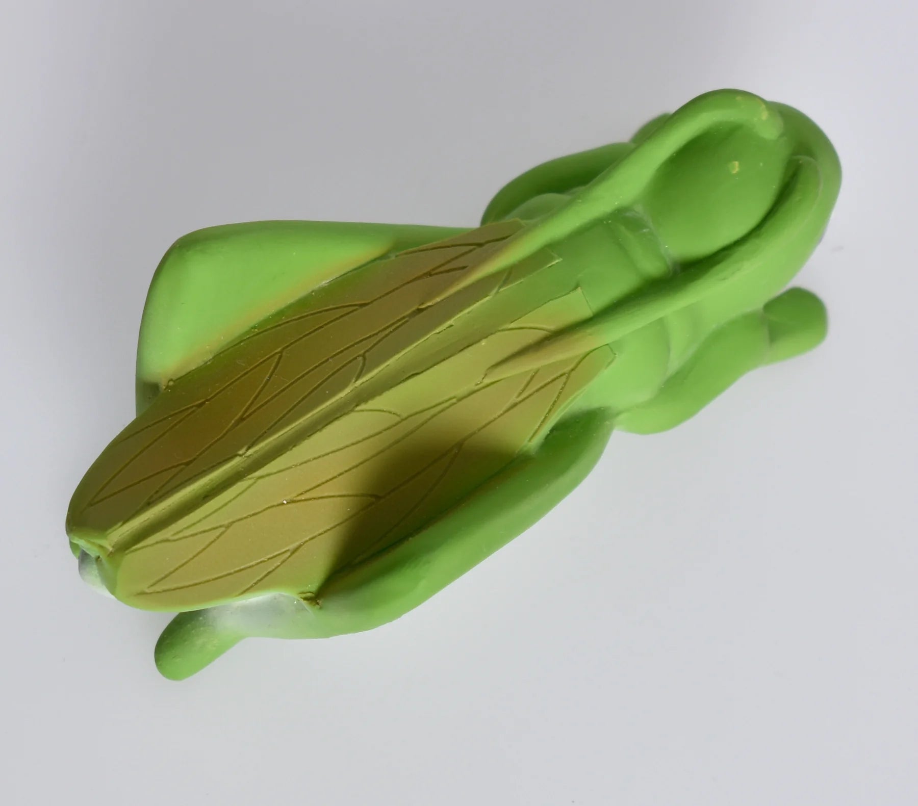 Top view image of grasshopper rubber teether