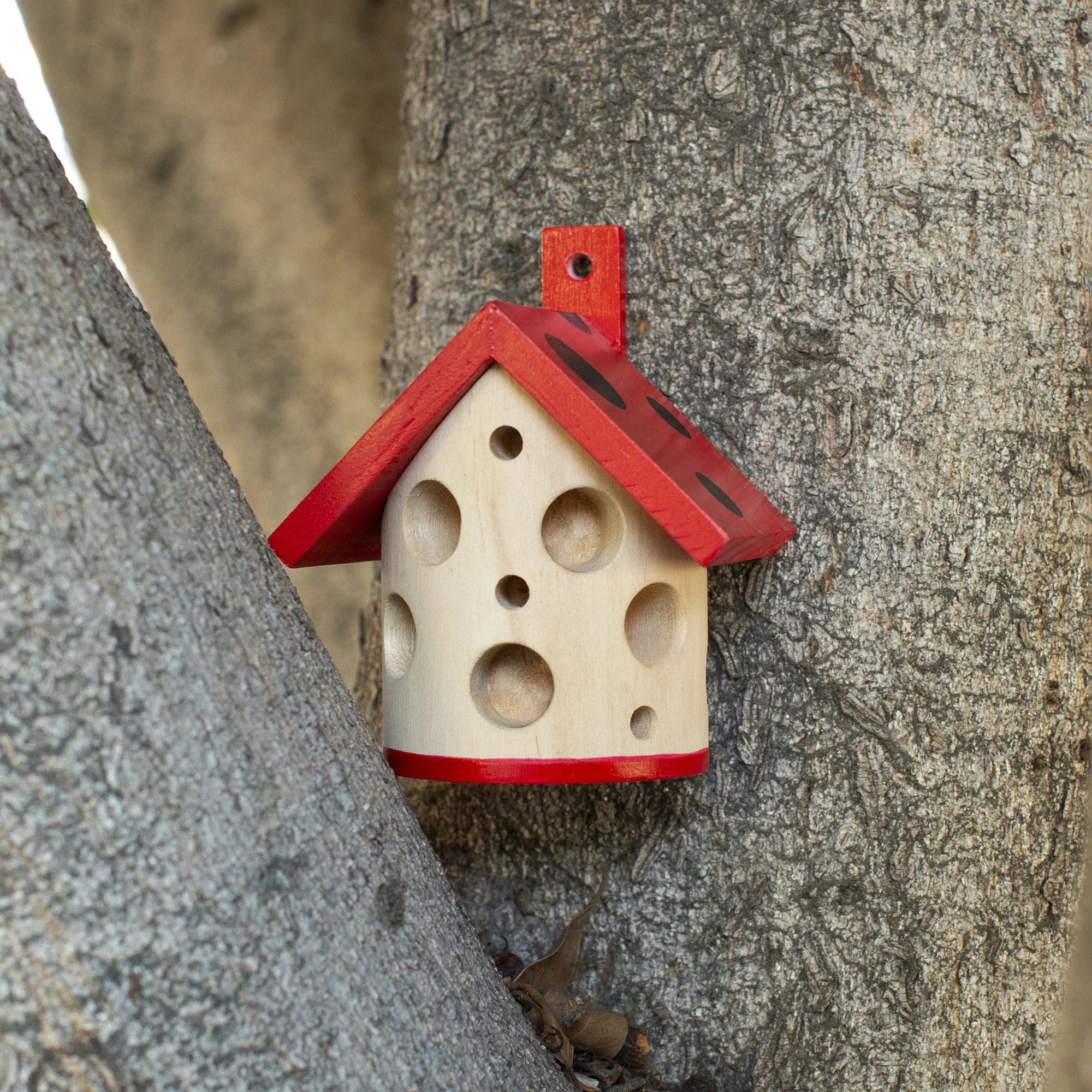 Lady Bug House