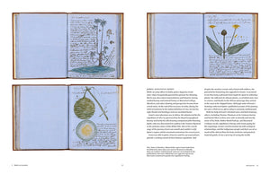 Image of two pages of book titled Botanical Sketch books by Helen and William Bynum