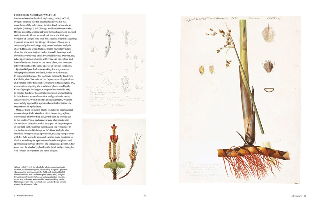 Image of two pages of book titled Botanical Sketch books by Helen and William Bynum