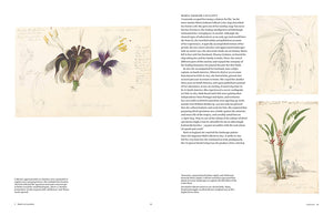 Image of two pages of book titled Botanical Sketch books by Helen and William Bynum