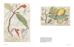 Image of two pages of book titled Botanical Sketch books by Helen and William Bynum