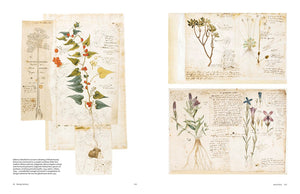 Image of two pages of book titled Botanical Sketch books by Helen and William Bynum showing botanical sketches and notes