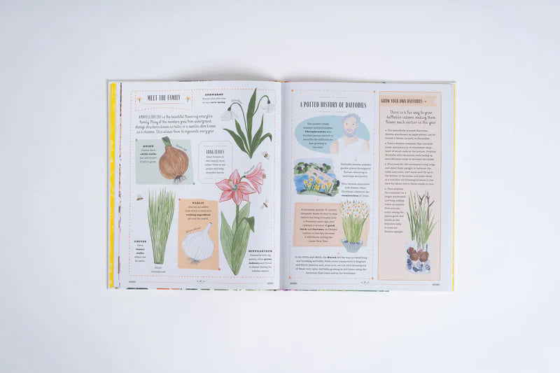 Grow: Childrens Guide to Plants and How to Grow Them by Rizanino Reyes and Sara B. Meadows