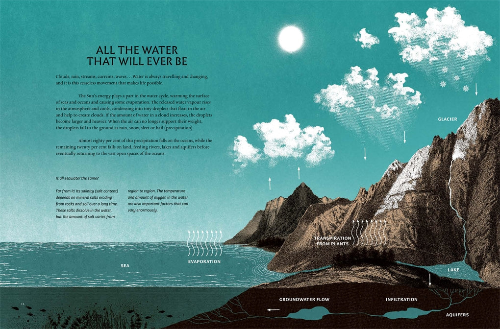 Image of page from book title Wave Atlas, everything you need to know about waves, written by Sarah Zambello and illustrated by Susy Zanella