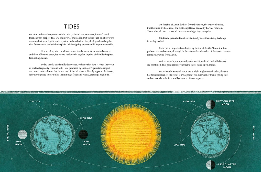 Image of page from book title Wave Atlas, everything you need to know about waves, written by Sarah Zambello and illustrated by Susy Zanella