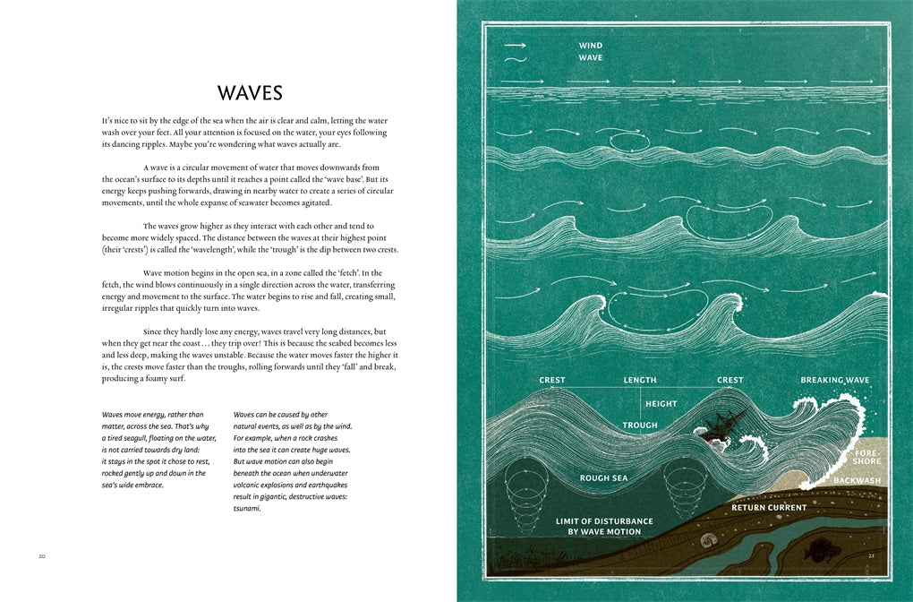 Image of page from book title Wave Atlas, everything you need to know about waves, written by Sarah Zambello and illustrated by Susy Zanella