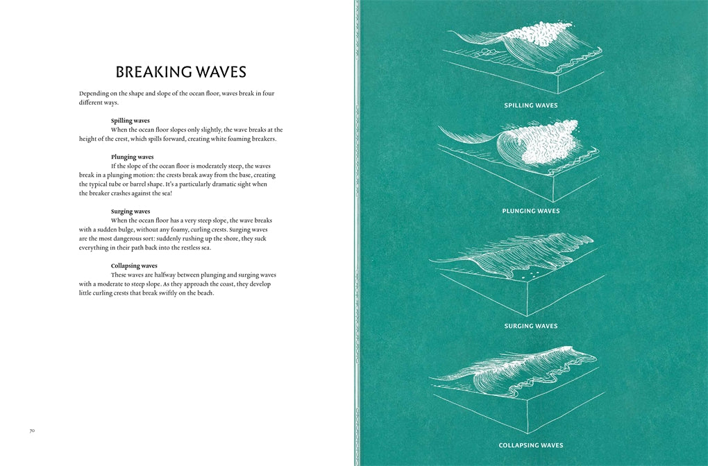 Image of page from book title Wave Atlas, everything you need to know about waves, written by Sarah Zambello and illustrated by Susy Zanella
