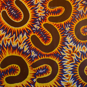Acrylic on Canvas By Sally Foster, Kungkarangkalpa (Seven Sisters Dreaming) 2023 of Minyma Kutjara Art Centre