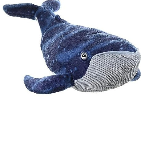 Otto the Blue Whale Plush - WA Museum Exclusive