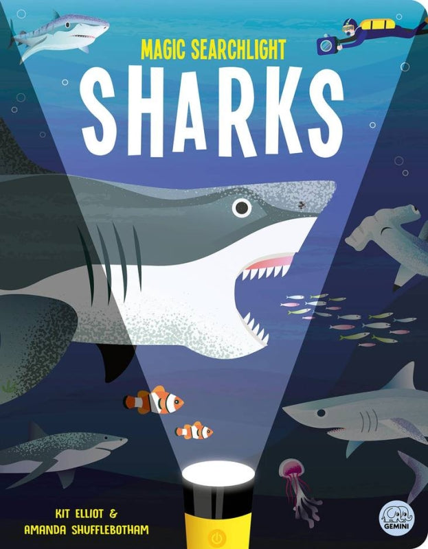 Sharks – Western Australian Museum Store