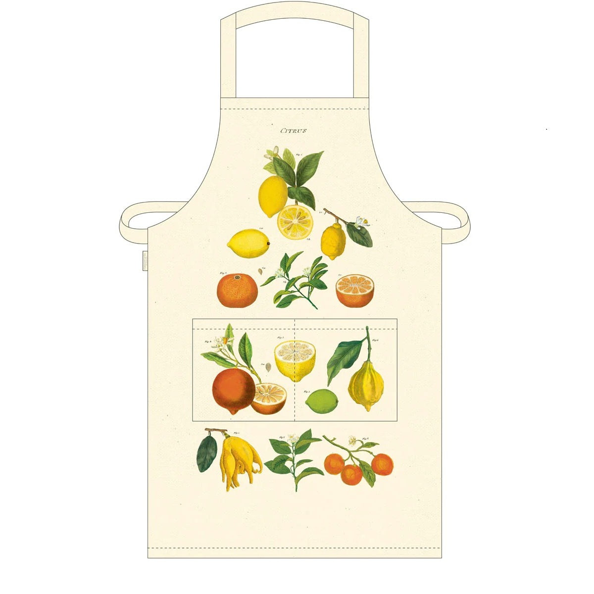 Apron with illustrations of lemons and oranges, with the word “Citrus” printed at the top.