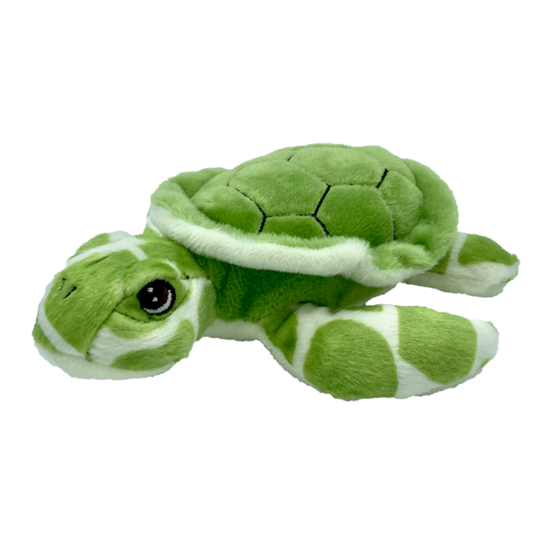 Green and white plush turtle with black eye