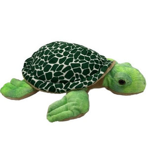 Turtle Taylor