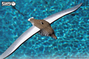 Top view image of EUGY Royal Albatross on a background of blue water.