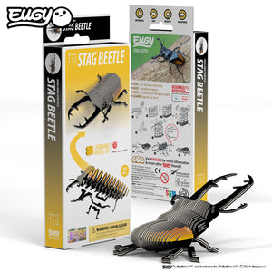 Back view image of of EUGY Stag Beetle and packaging on white background.