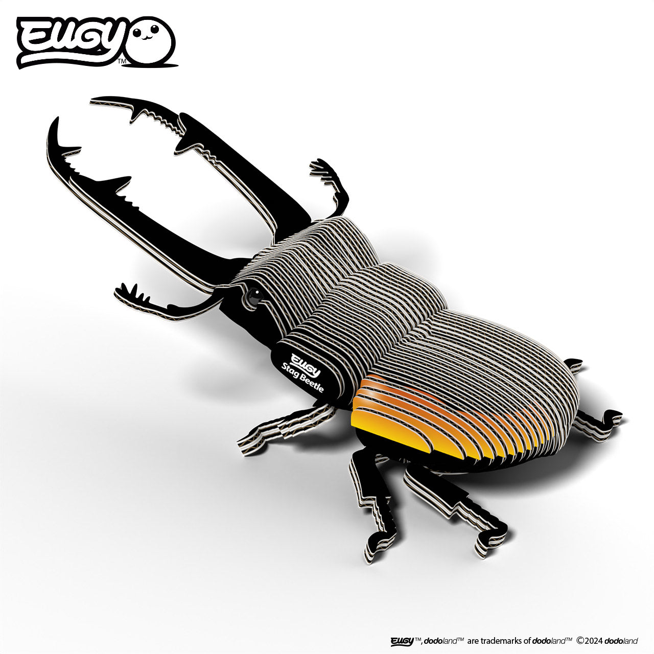 Top view image of of EUGY Stag Beetle on white background.