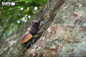 Side view image of of EUGY Stag Beetle on rock.