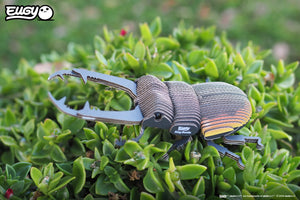 Side view image of of EUGY Stag Beetle on green plant.