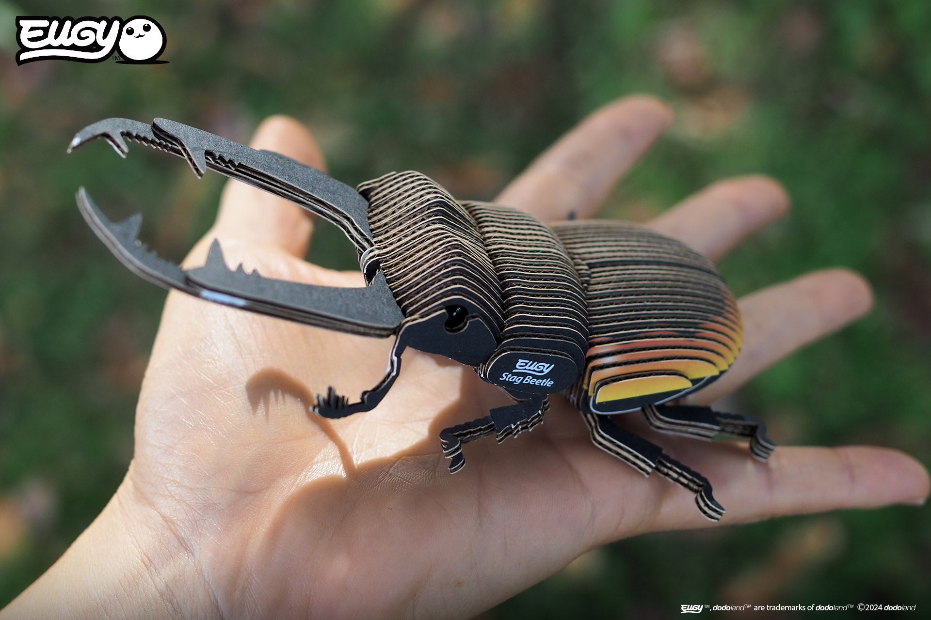 Side view image of of EUGY Stag Beetle on palm of hand.