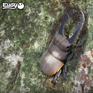Top view image of of EUGY Stag Beetle on rock.