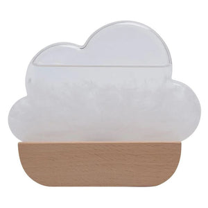 Front view image of Fitzroys Cloud Shaped Storm Glass on white background