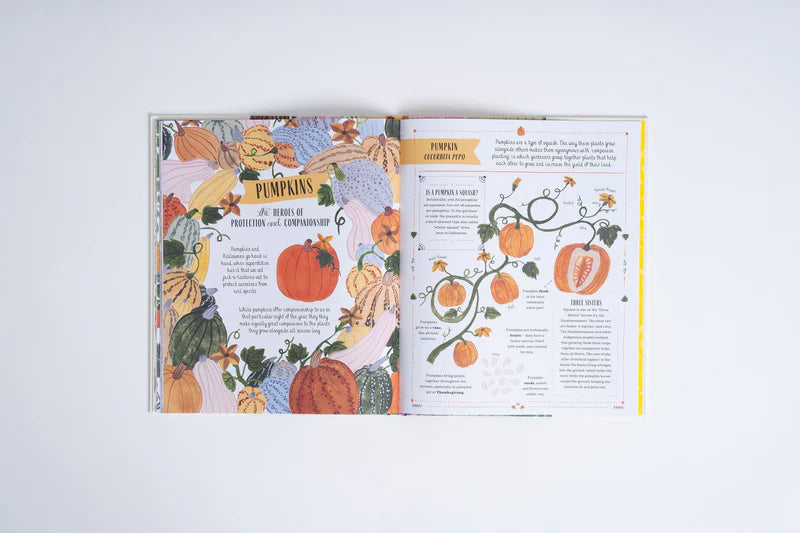 Image of pages on pumpkins in book titled Grow written by Rizanino Reyes, illustrated by Sara Boccaccini Meadows