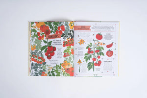Image of pages on tomatoes in book titled Grow written by Rizanino Reyes, illustrated by Sara Boccaccini Meadows