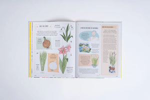 Image of open book titled Grow written by Rizanino Reyes, illustrated by Sara Boccaccini Meadows