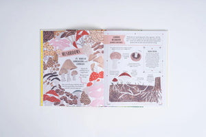 Image of pages on mushrooms in book titled Grow written by Rizanino Reyes, illustrated by Sara Boccaccini Meadows