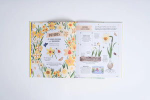 Image of pages on daffodils in book titled Grow written by Rizanino Reyes, illustrated by Sara Boccaccini Meadows