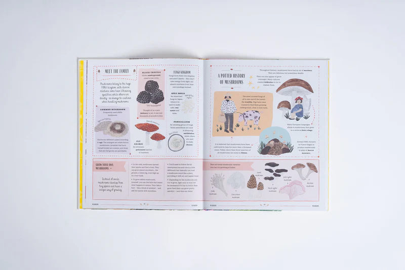 Image of book titled Grow written by Rizanino Reyes, illustrated by Sara Boccaccini Meadows showing open book