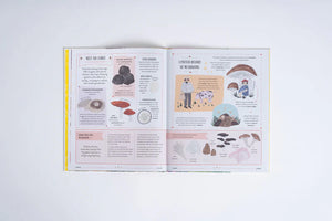 Image of book titled Grow written by Rizanino Reyes, illustrated by Sara Boccaccini Meadows showing open book
