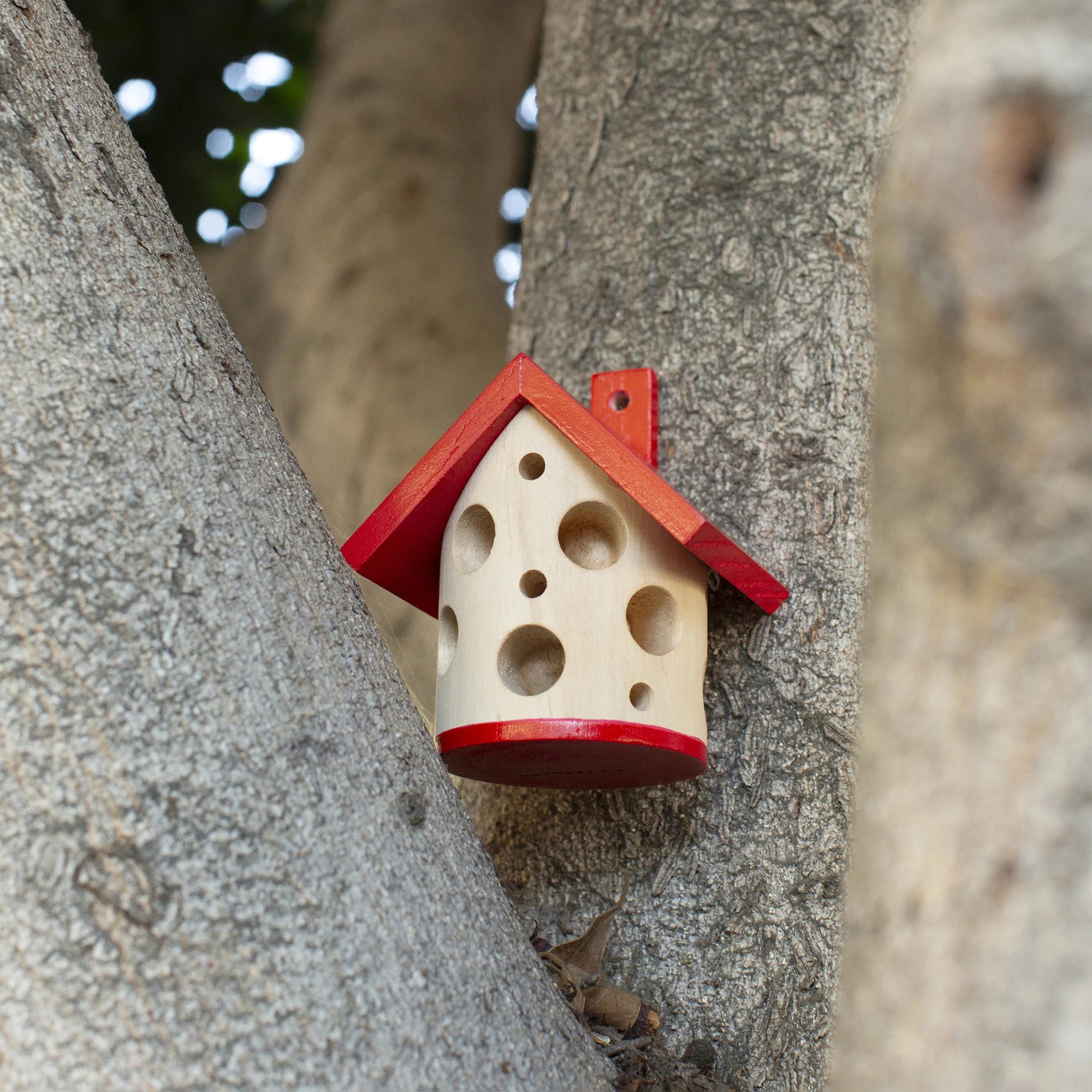 Image of wooden lady bug house with red roof in tree