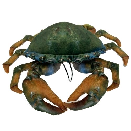 Mason Mud Crab Plush Toy