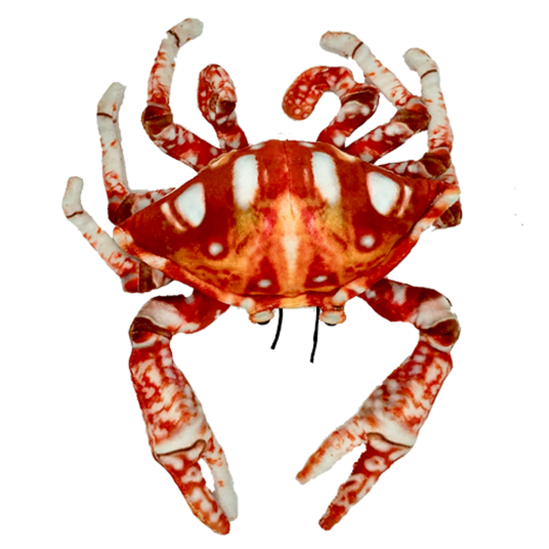 Crabby Crab Plush