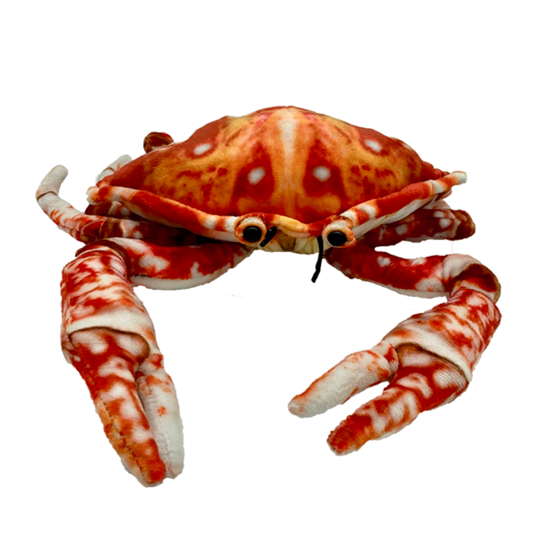Crabby Crab Plush
