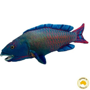 Polly Parrot Fish