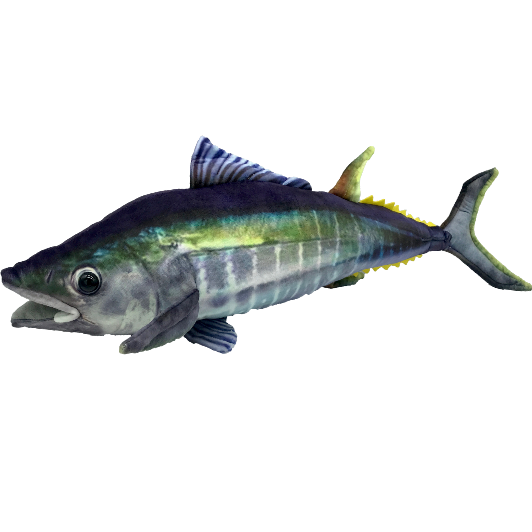 Tommy the yellow fin tuna plush toy