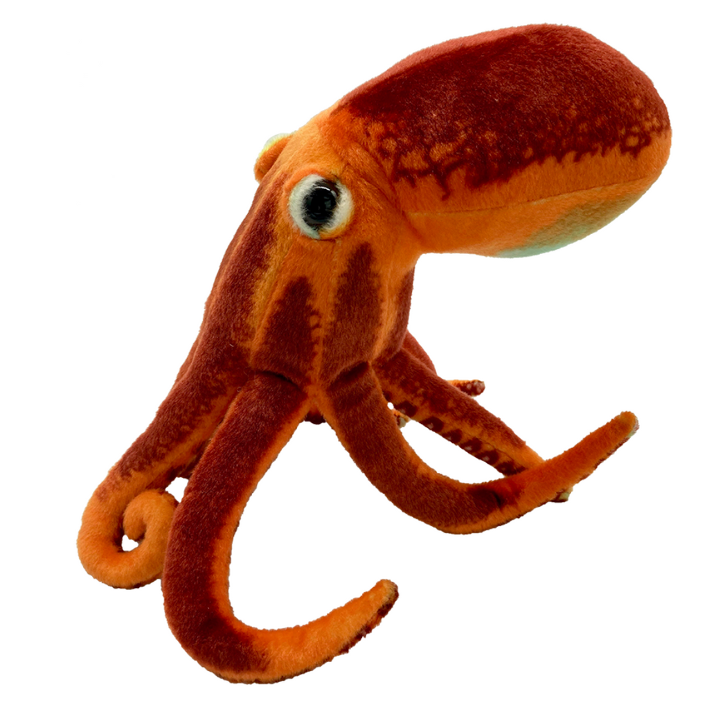 Orange Octopus Plush Toy – Western Australian Museum Store