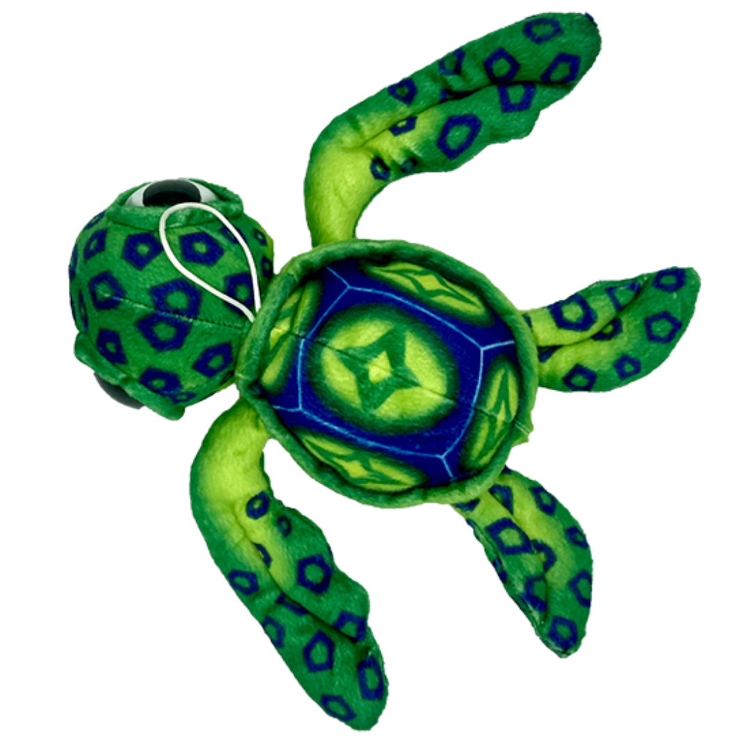 Medium Green Turtle plush Toy – Western Australian Museum Store