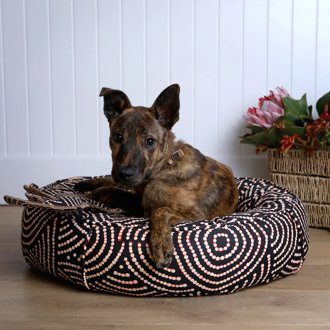 Image of dog in dog bed with chew toy Bob