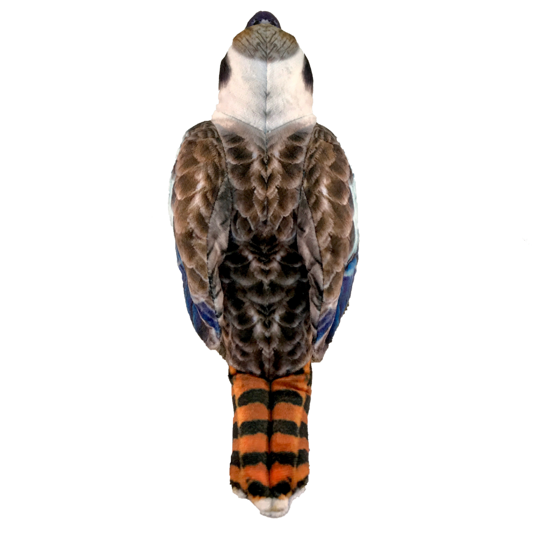 Back view image of Kingsley Kookaburra by Huggable Toys.