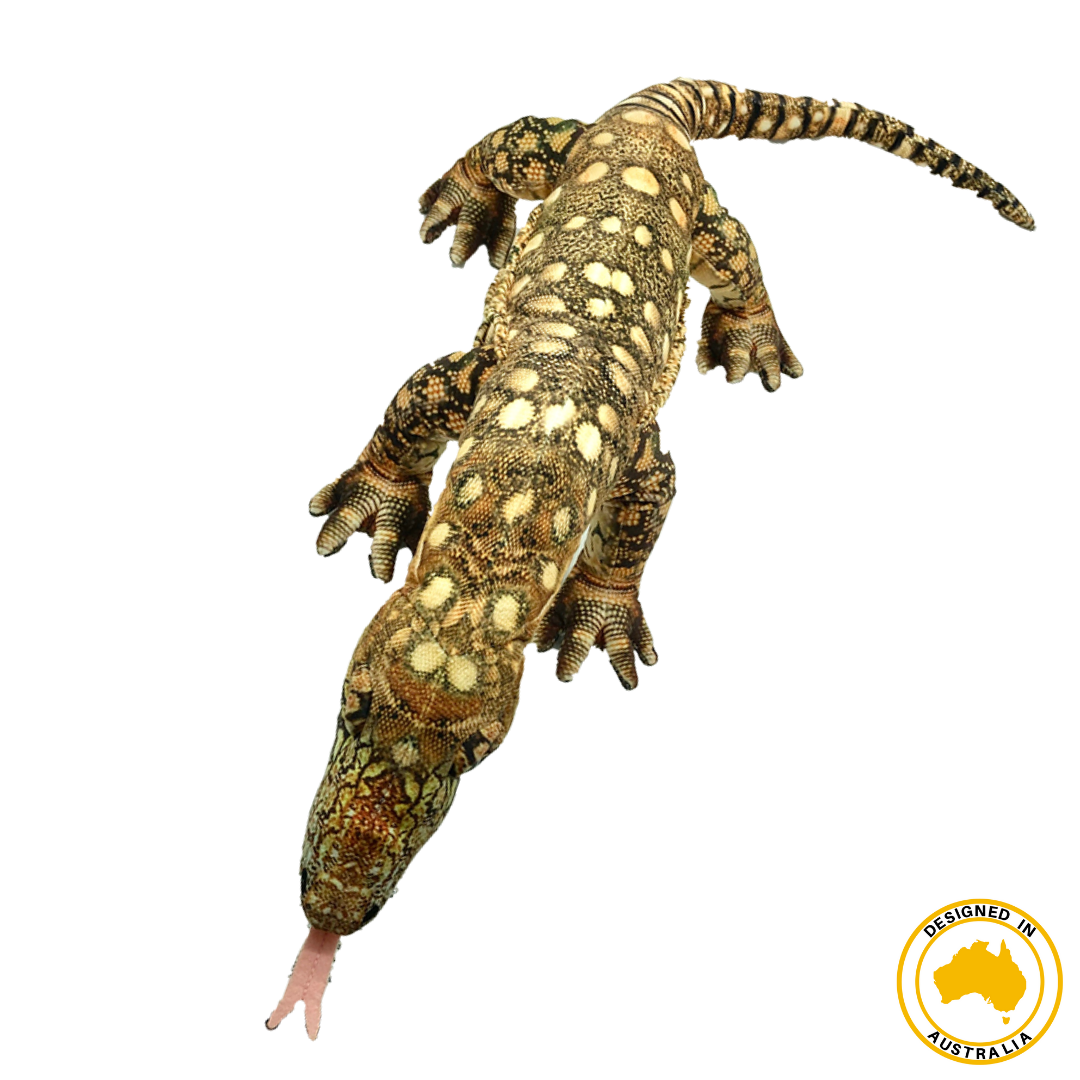 Top view image of Greg Goanna by Huggable Toys.