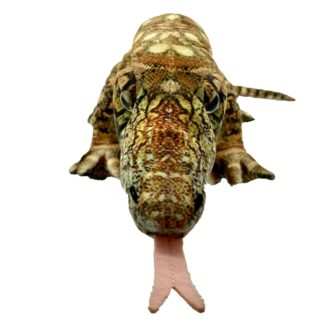 Front view image of Greg Goanna by Huggable Toys.